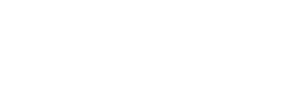 Agency Support Solutions